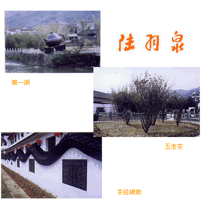 杭州陆羽泉文化主题公园天气